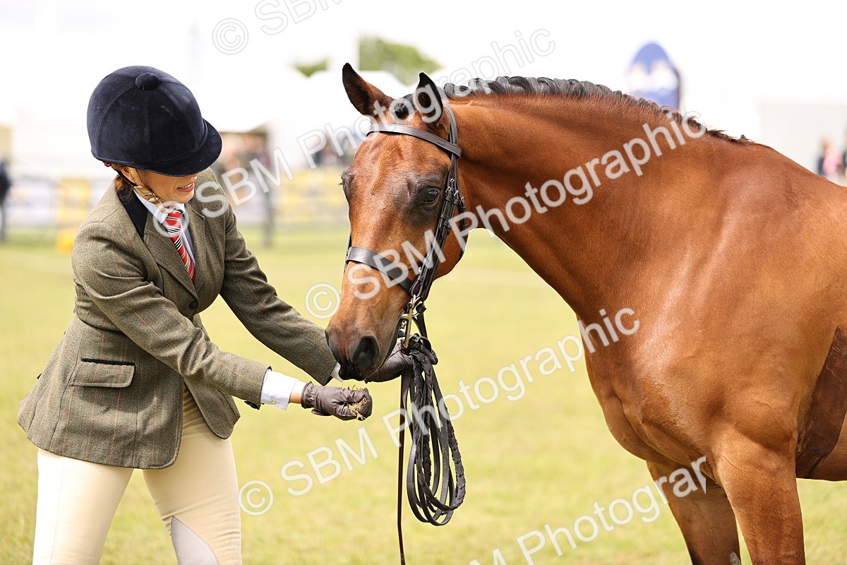 SBM_14601 - Class 88-89 - LIHS BSHA Rising Star of Ridden Hunter Type