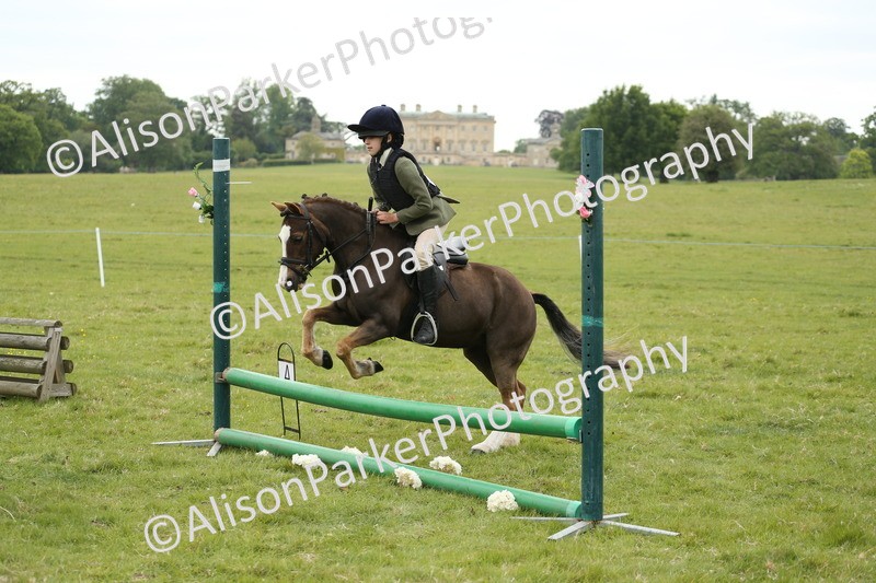 20250517-1111 - Class 21 - Novice Working Hunter