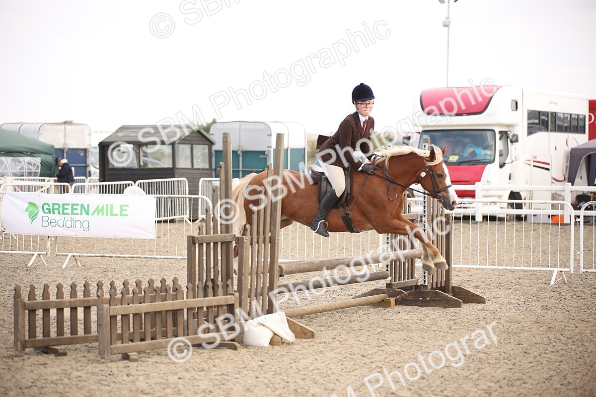 SBM_16026 - Class 408b - Working Veteran 70cm (20+)