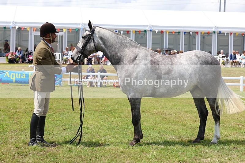 3E7A2191 - Class 10: Open Cob