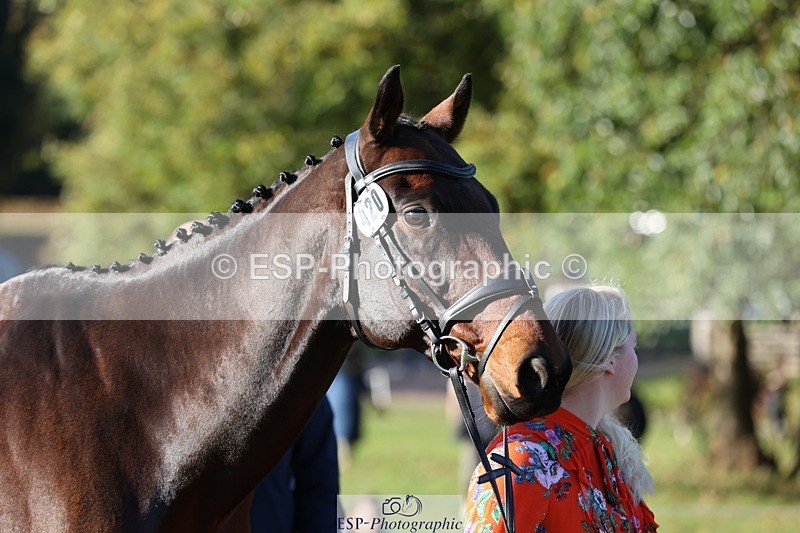 241027-092805-15318 - 420-Pip.Howarth-OTTAVA