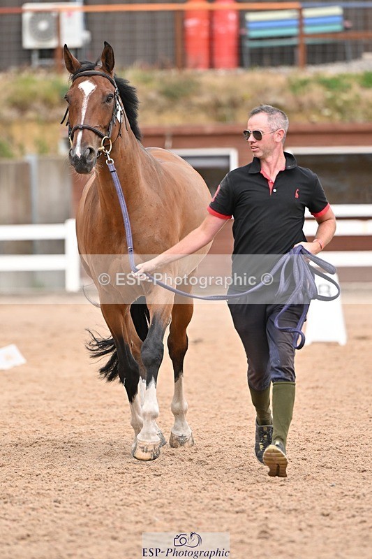 250716-162122-02593 - Trot Up 3.30 to 4.30