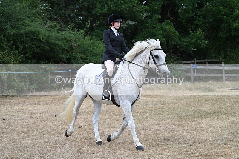 WJ7_0943 - Class 7 Riding Club Show Horse