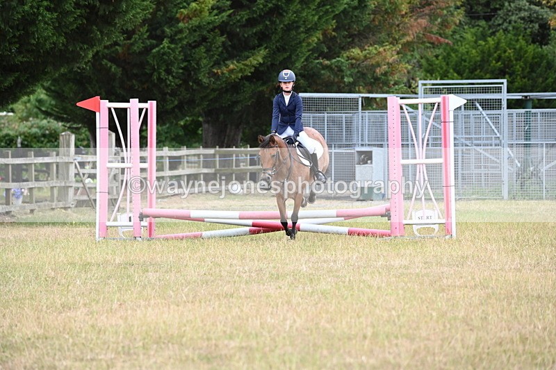 WJ6_9597 - Class 12 Minimus Jumping 45cm