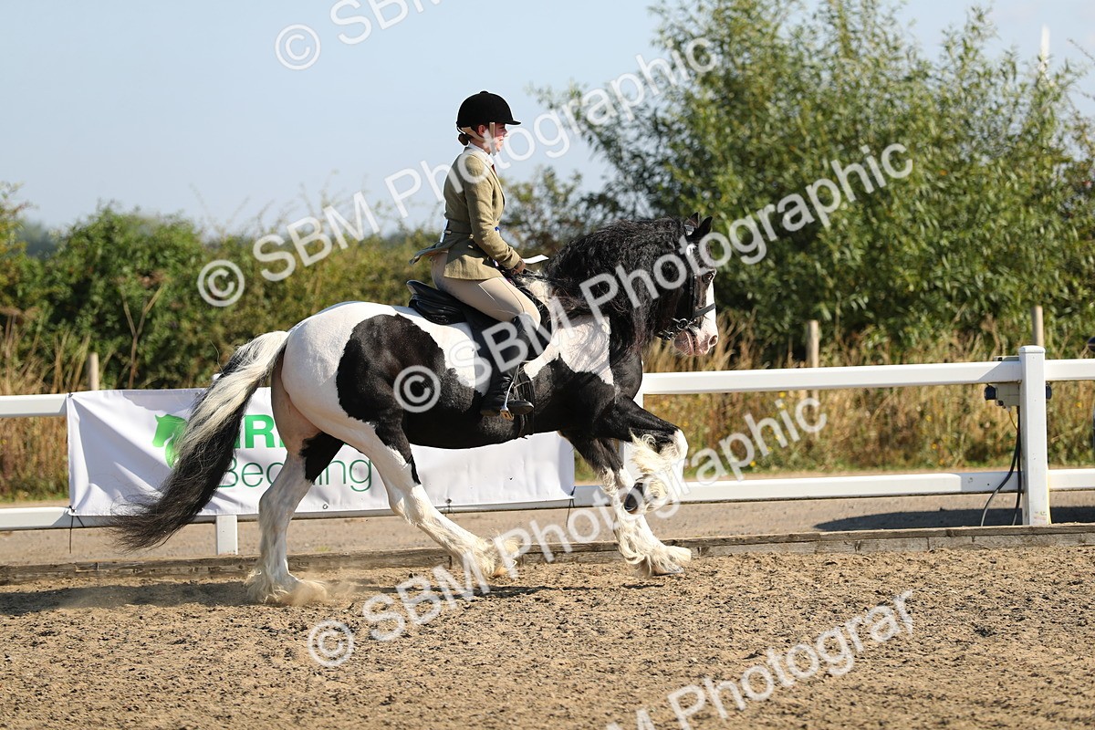 SBM_01264 - Class 42 Ridden Veteran
