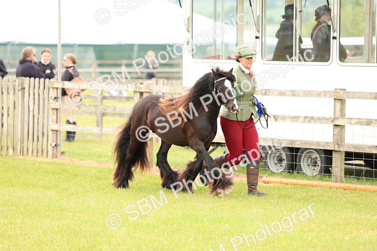SBM_06273 - Class 39-41 TGCA In Hand and Ridden