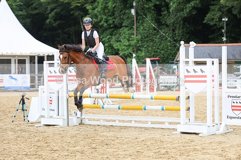 3E7A6876 - Class 13: Pony British Noise/80cm open