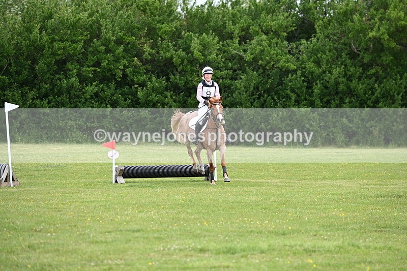 WJ6_2448 - Class 2 40cm