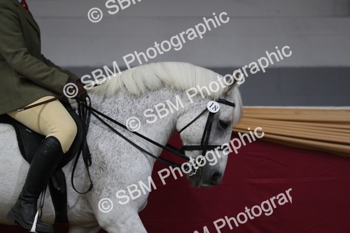 SBM_10299 - Class 102 Equitation (best rider) Adult