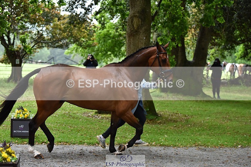 240522-162028-00848 - 240-KINDA_CORVETTE-Dani_Evans