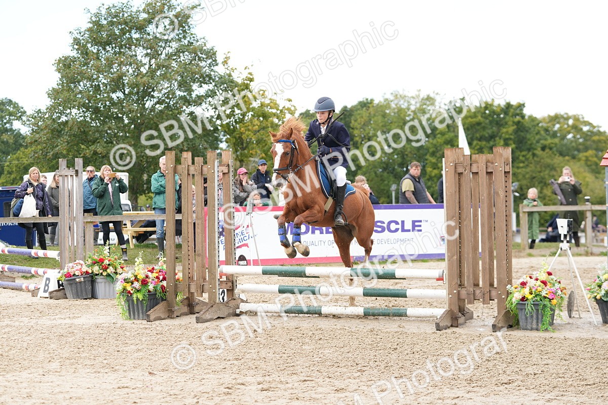 SBM_43468 - J7 - Junior Pony 60cm Championship