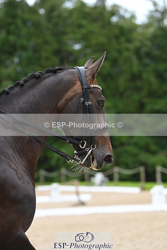 230813-154545-08245 - Cls 14 Medium Silver Start to 16.25 break