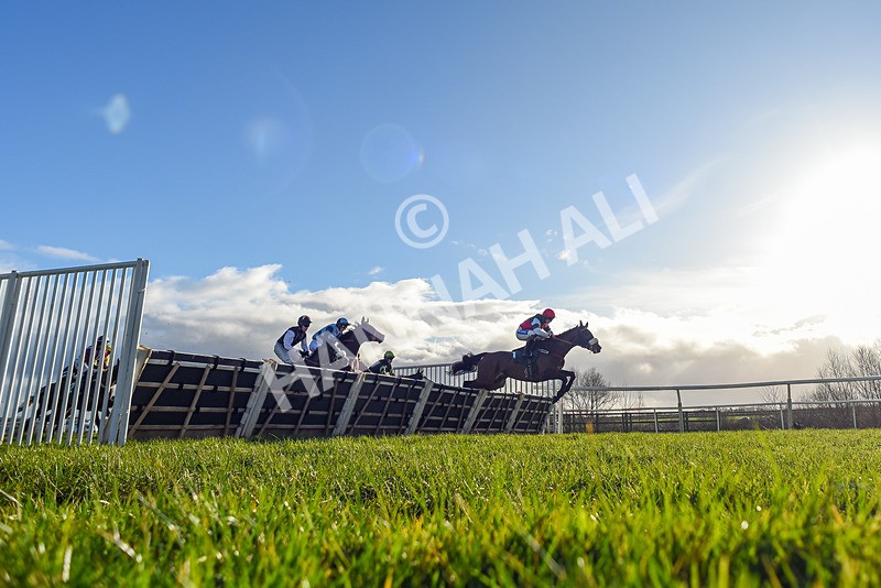 250225-Race 3-Ballyvango-2978 - Race 3
