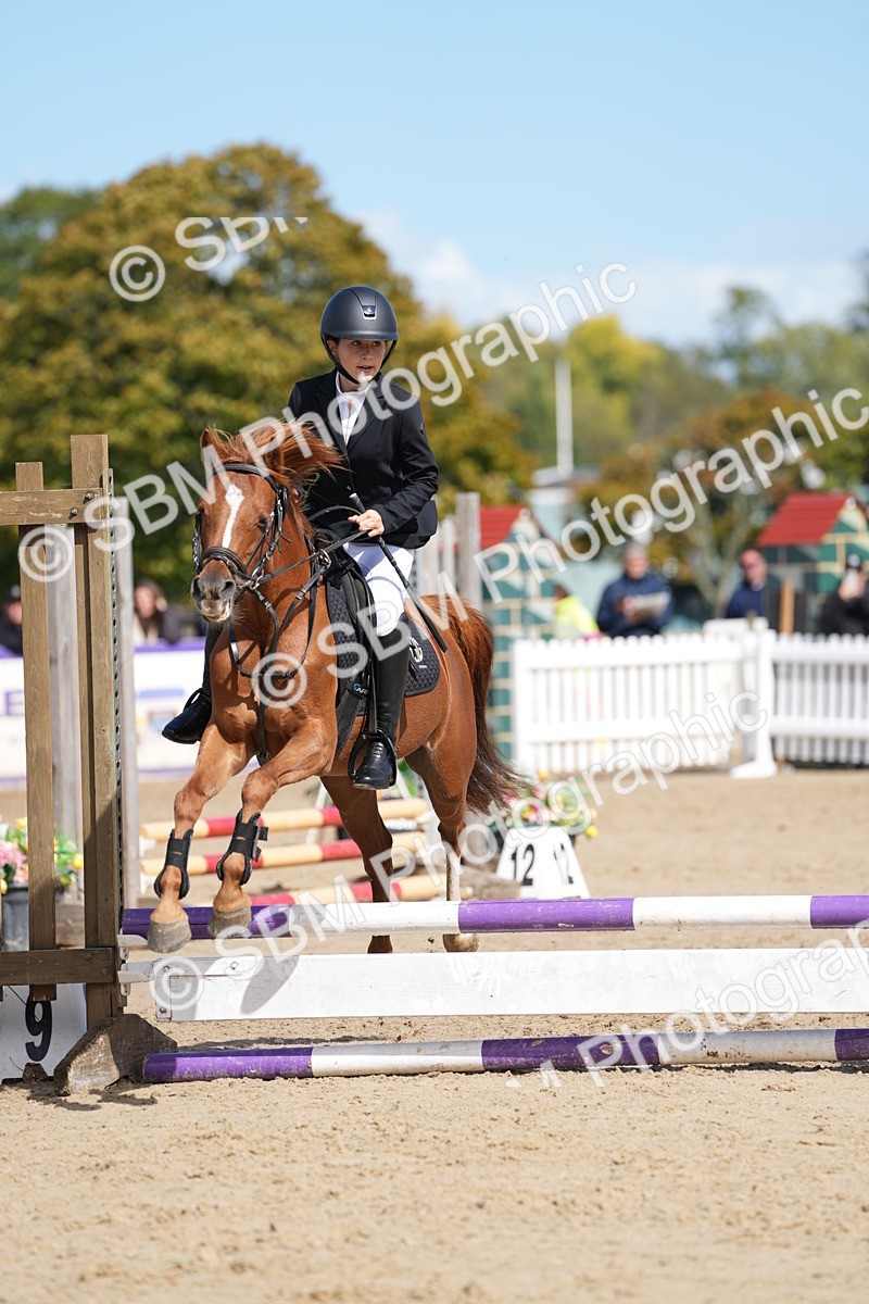 SBM_20622 - J49 - Open 50cm