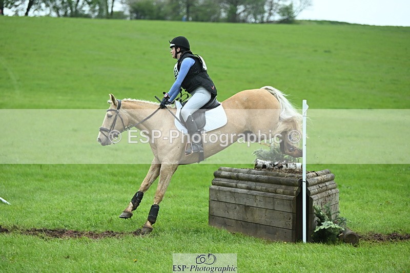 250419-130017-10727 - 523-Kate.Hicks-SWALLOWCROFT.STARDUST