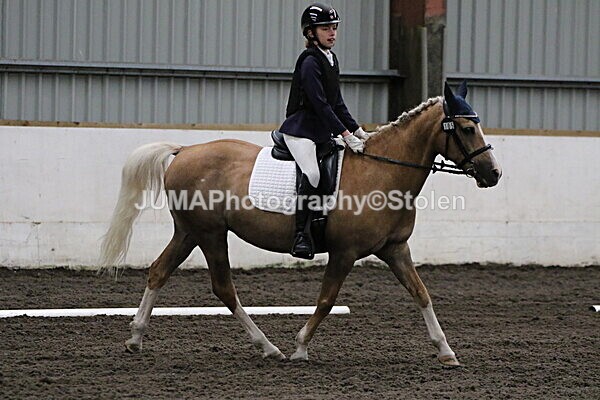SIAL3636 - CAbin Dressage 5th july 2025