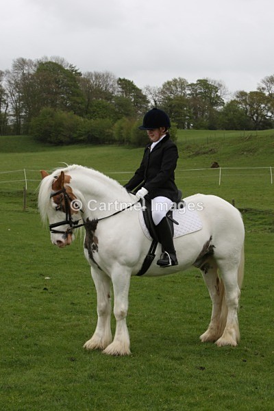 M_MB0476 - MBRC Ridden/Dressage May 2013