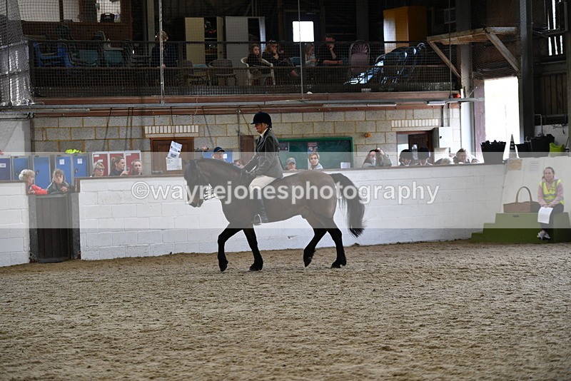 WJ5_6159 - Class 9 Ridden Veteran