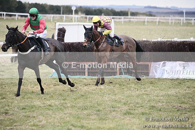 PtP 180218 768 - Combined Services Point-to-Point Larkhill 18/02/18