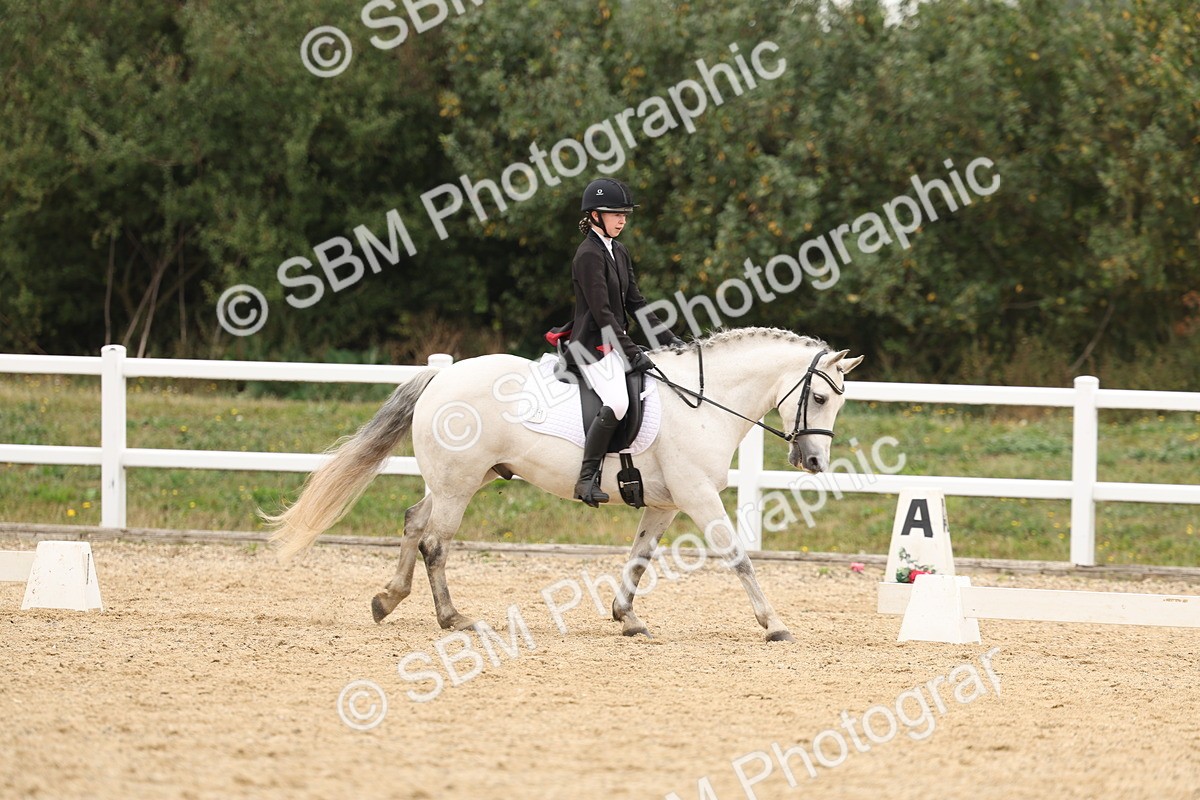 SBM_01076 - Class 8 - Novice 27 Champs