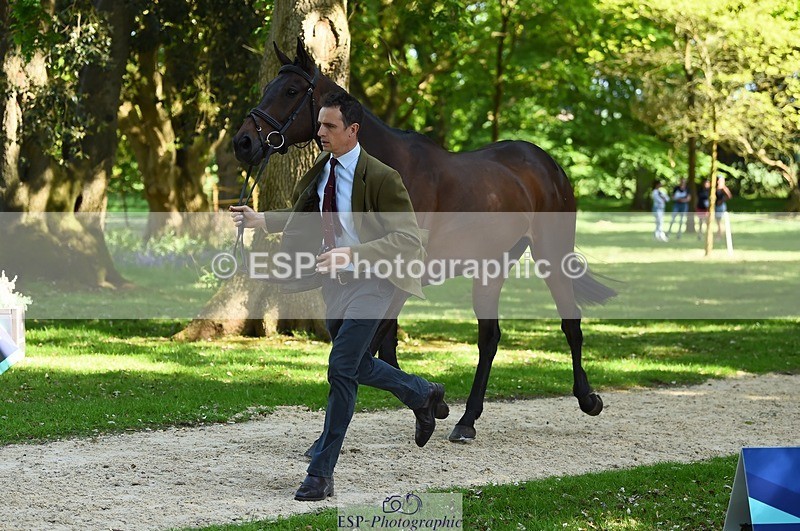 230524-155028-00537 - 380-PUBLIC_ADDRESS-Tom_Strawson-WEDTrotUp+DR