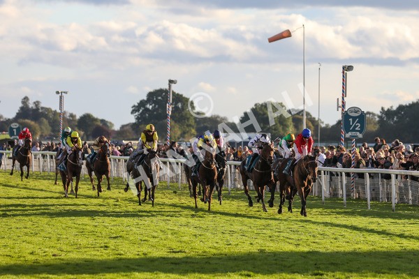141023-Race 7-Star Ahoy-0678 - Race 7 4.45pm Coral 'Committed To Safer Gambling' Finale Handicap