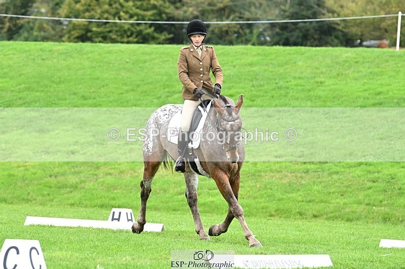 241024-105305-03079 - 501-Captain.Holly.Day-MUSTANG