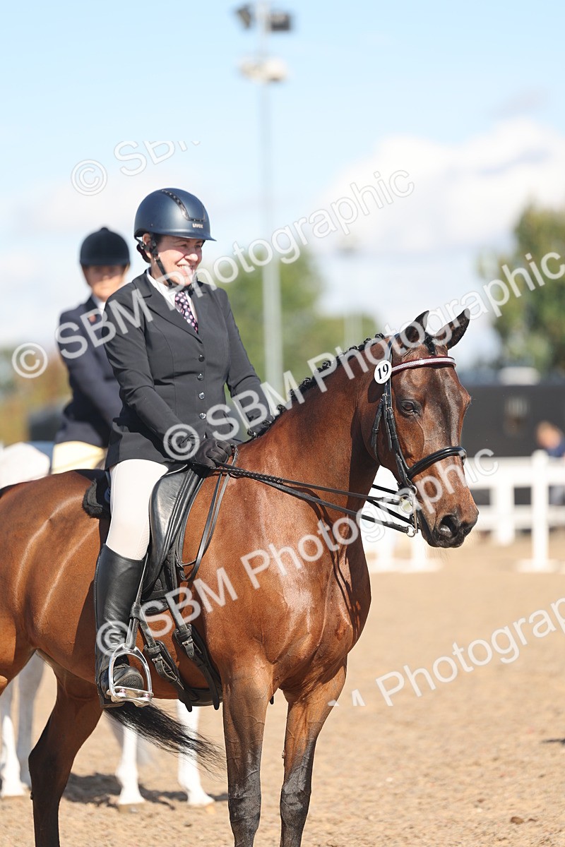 SBM_13096 - Class 305 - Ridden Foreign Breed Pure Bred