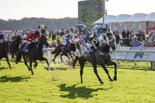 yr08102021r3-24 - Race 3 3.15pm Download The Casumo App Today Handicap