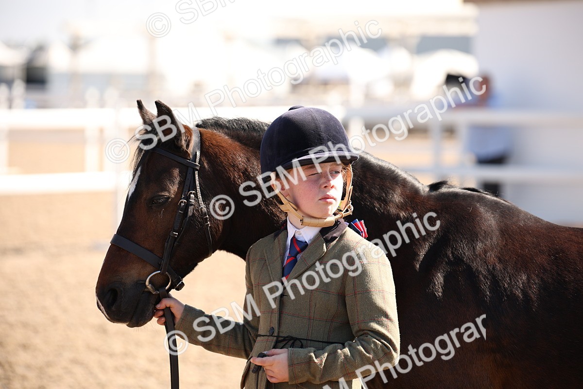 SBM_02765 - Class 16 IH M&M Wildcard