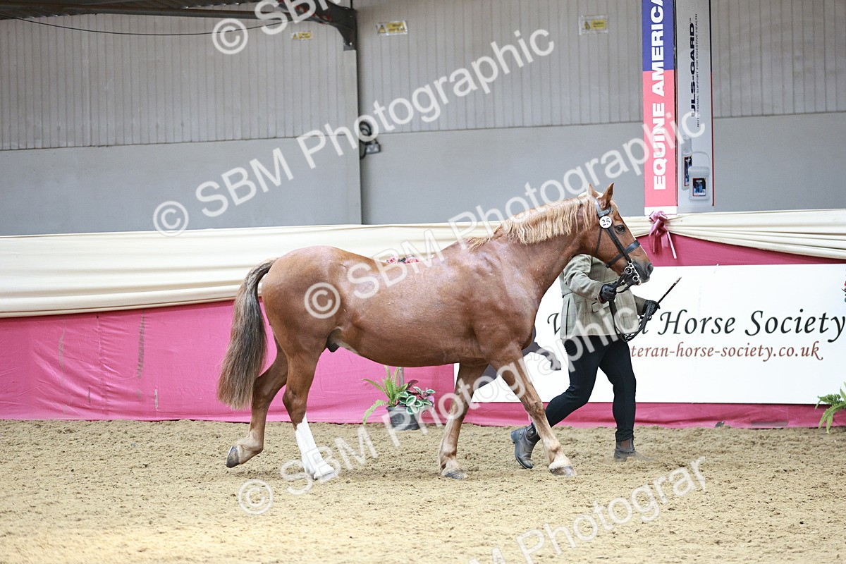 SBM_04720 - Class 7R - Regional IH Diamond