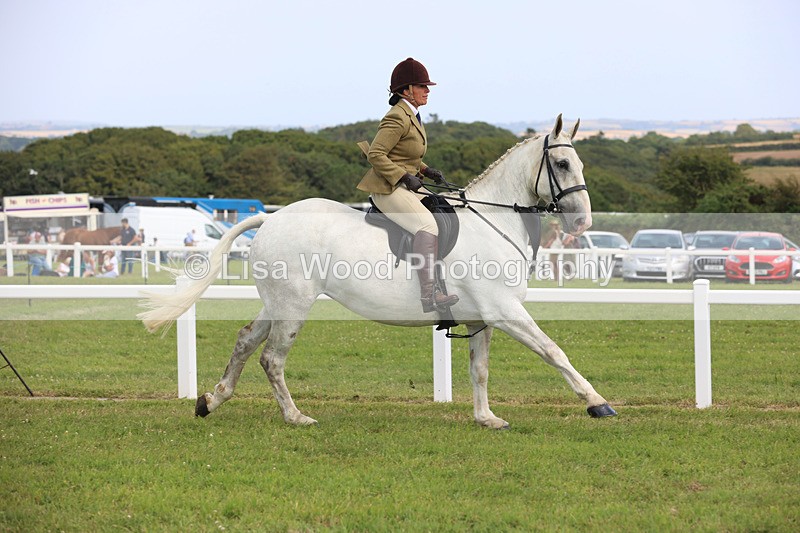 JPP_3852 - Class 23: Working Hunter 80cm