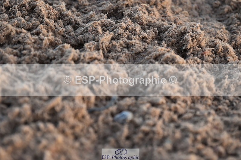 231105A-141346-01347 - 1m