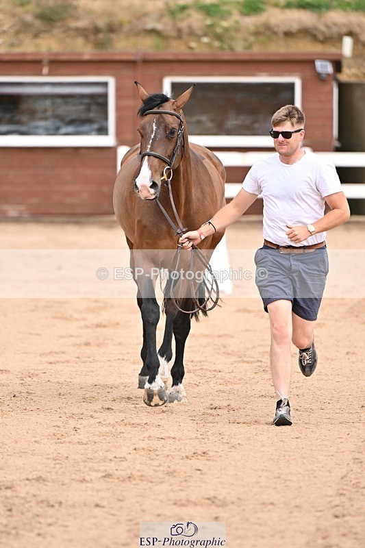 250716-150707-01637 - Trot Up 2.30 to 3.30