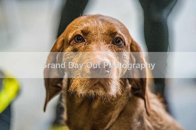 Kong CH-72 - Kong Running Clough Head Fell Race Saturday 4th February 2023