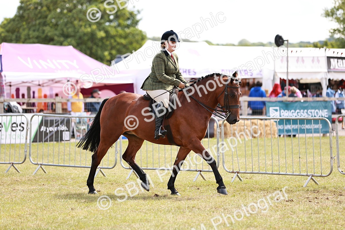 SBM_14510 - Class 88-89 - LIHS BSHA Rising Star of Ridden Hunter Type