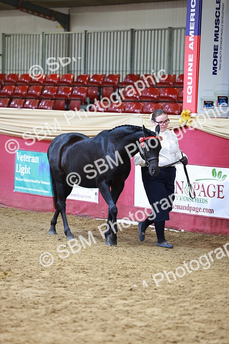 SBM_18537 - Class 903 - Sup Final - IH Pre Vet