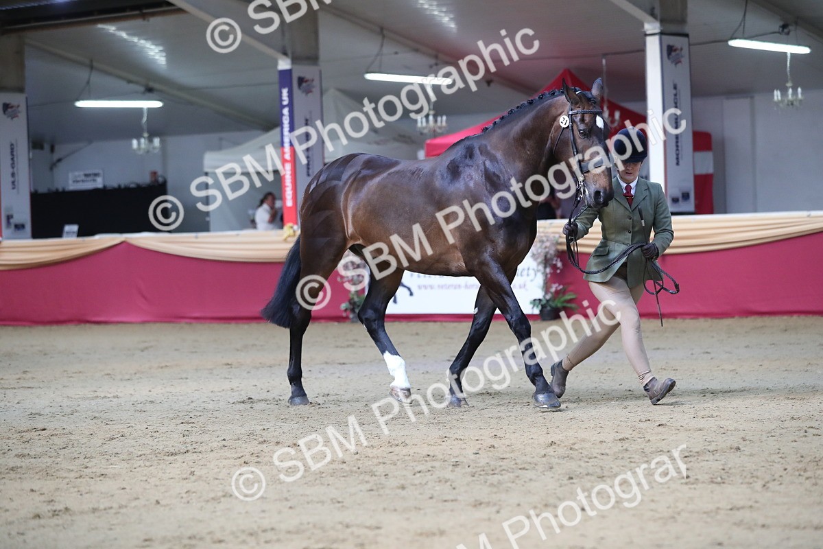 SBM_00557 - class 2a Area IH Veteran