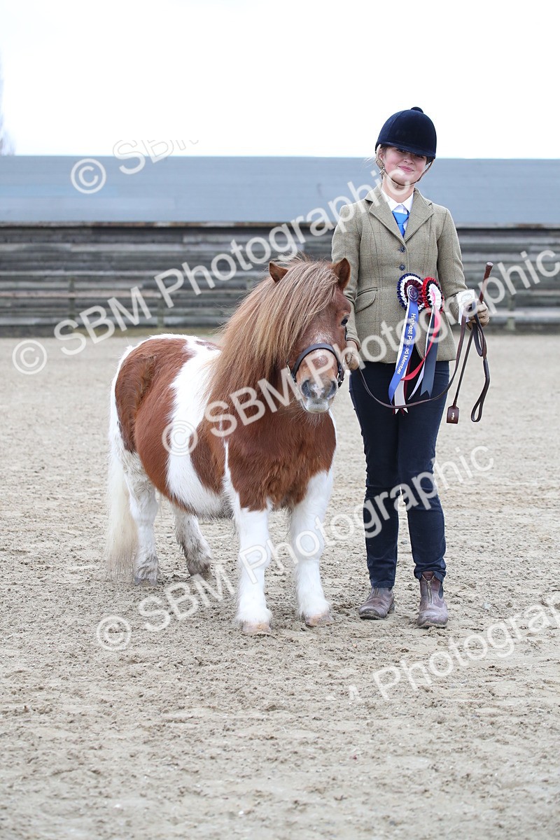 SBM_003944 - Class 1-4 - Young Stock classes Inc. In Hand Championship