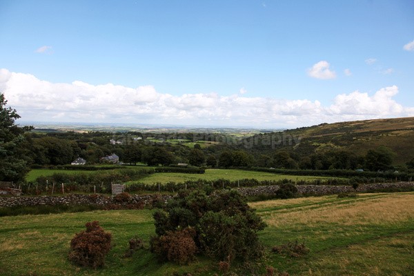 Dartmoor _ DR 37 - Dartmoor, Devon