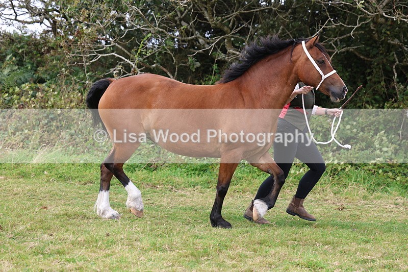 3E7A4569 - Class 16: Best Grass Kept