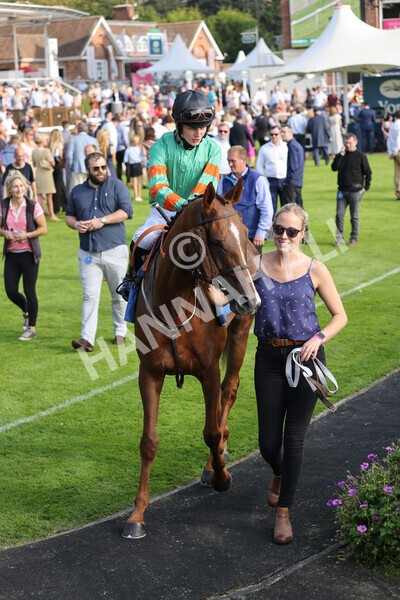 yr05092021r5-7 - Race 5 4.20pm Little Green Rascals Children's Nurseries Stakes