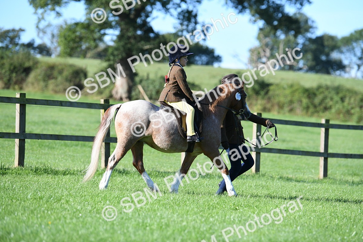 SBM_35327 - S17 - Condition & Turnout - Lead Rein