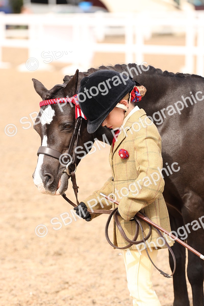 SBM_15122 - Class 209 - IH Veteran Pony