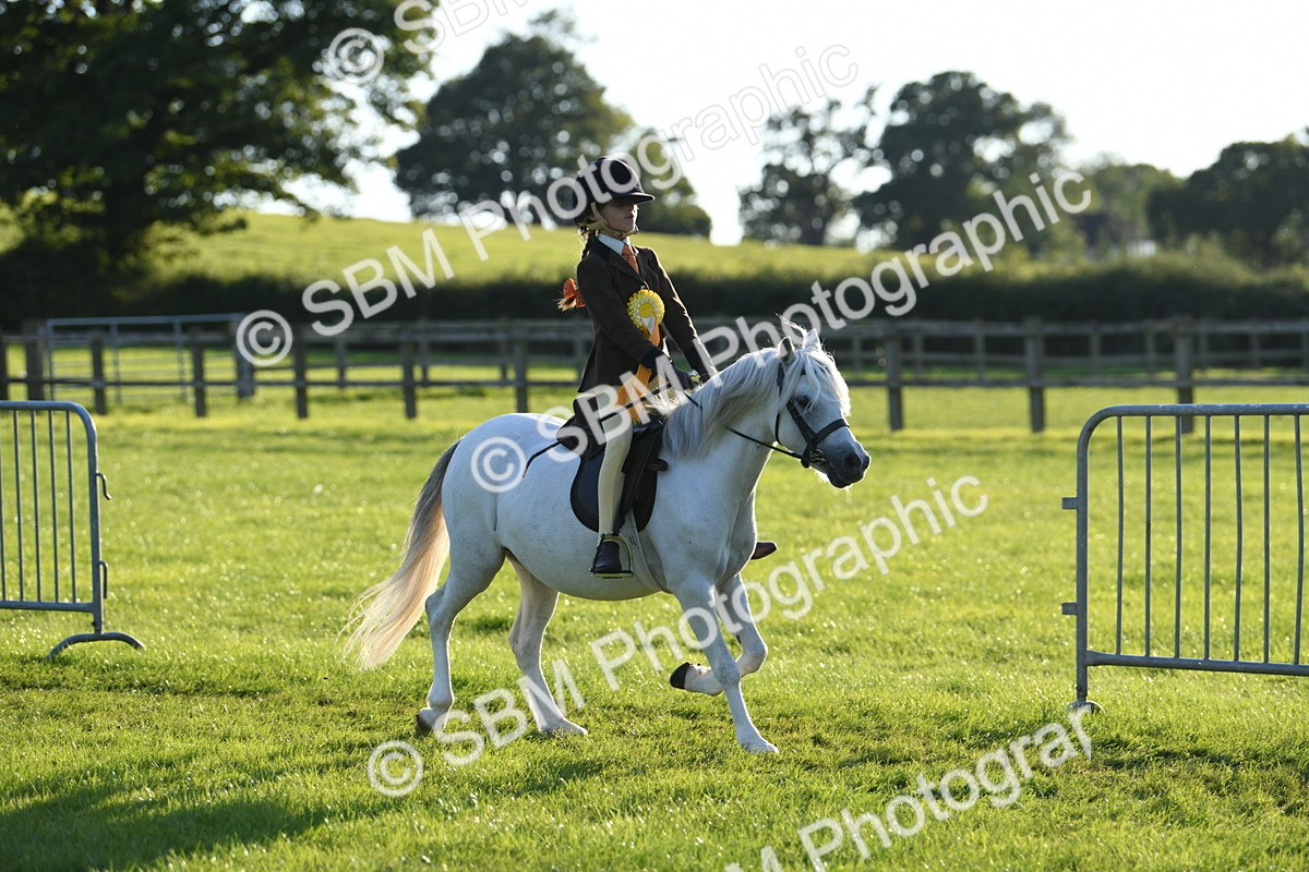 SBM_54228 - S23 - 1st Ridden Mountain & Moorland Pony