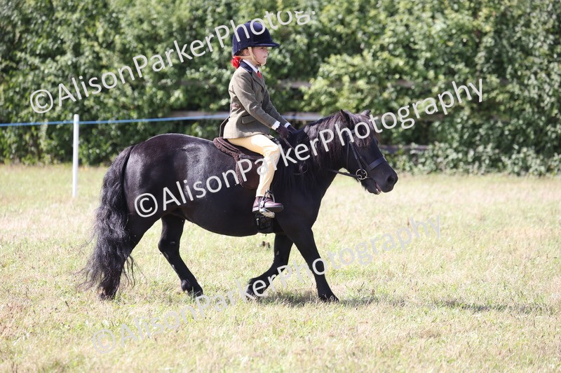 20260906-3068 - Class 18 - Childs First Pony