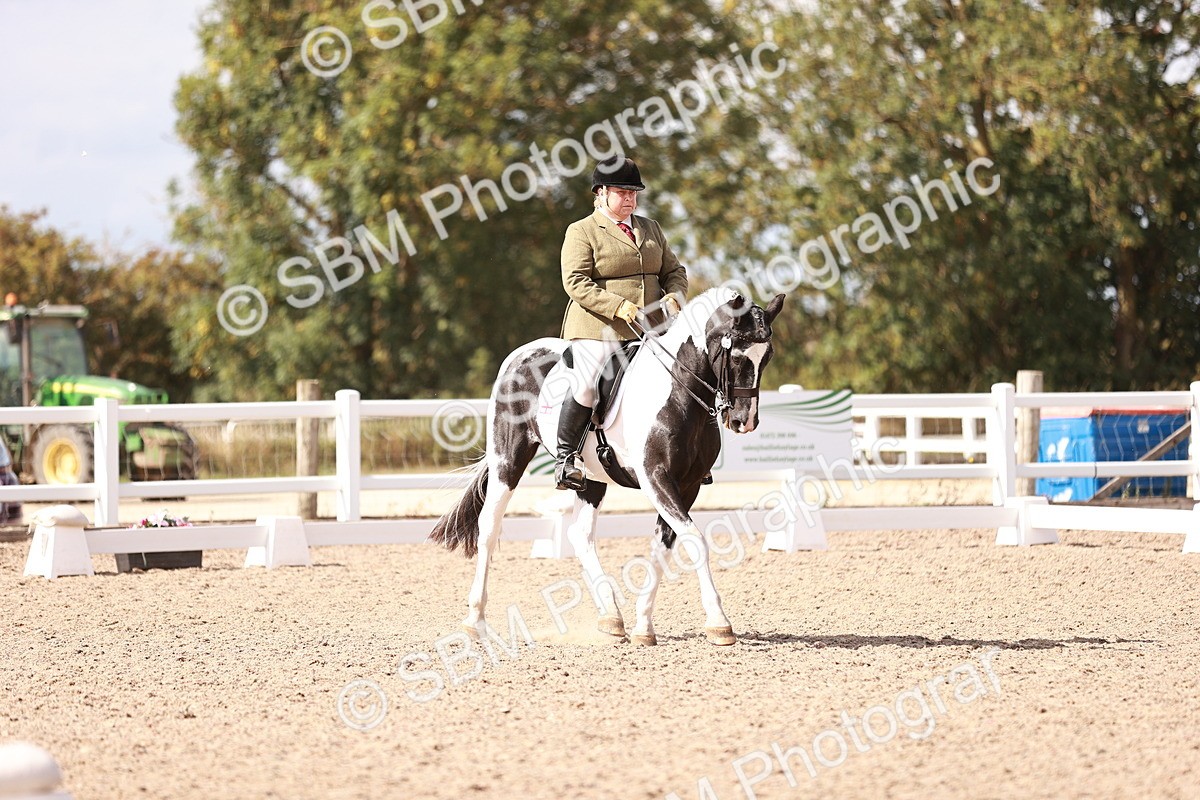 SBM_06586 - Class 39 - Medium 3