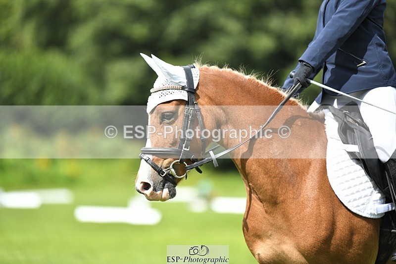 230826-133336-19799 - PC 70 1pm to 2pm