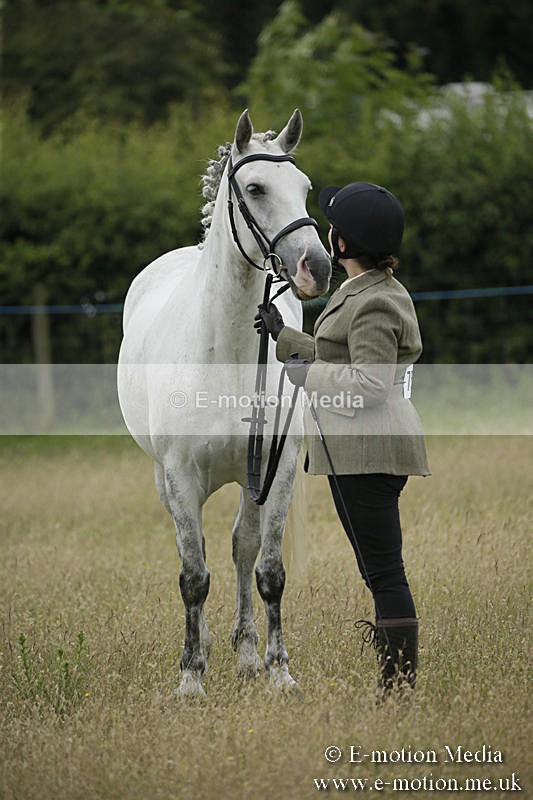 B230619-0289 - Bourne Valley Riding Club Summer Show 23/06/19