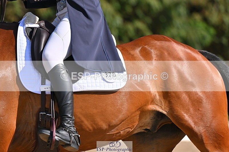 250523A-163307-08095 - B-378-Molly.Brown-KILRUSH.RED